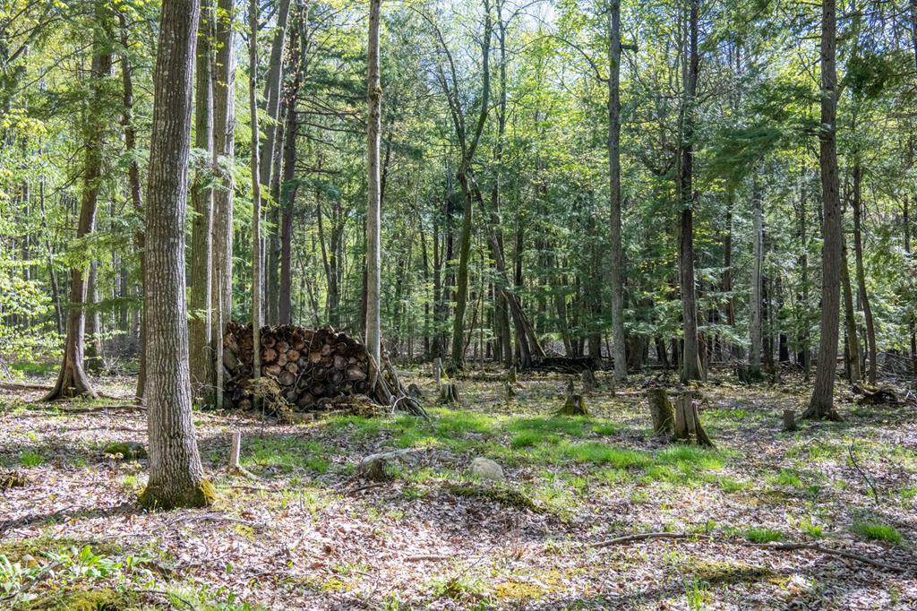 6810 Spring Lane Egg Harbor, WI 54209 - Photo 23 of 32