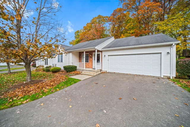 a view of a house with a yard and garage