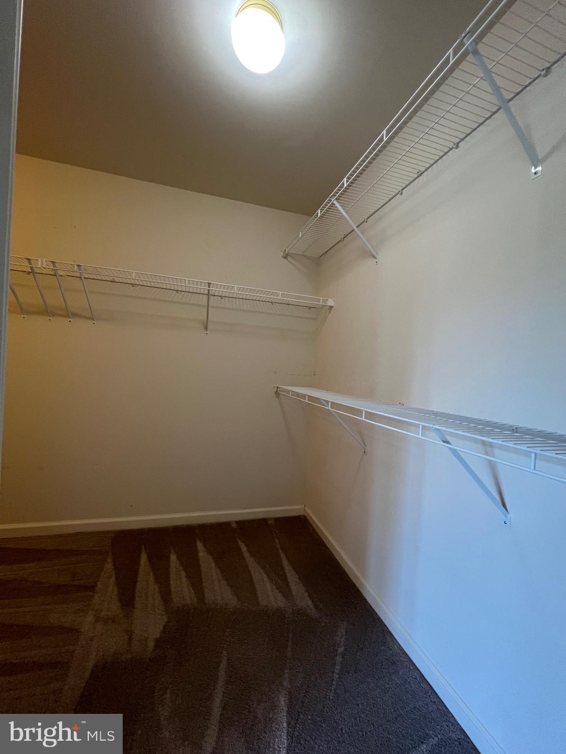131 Fiona Way Brunswick, MD 21758 - Photo 58 of 73 a view of storage and utility room with racks on the wall