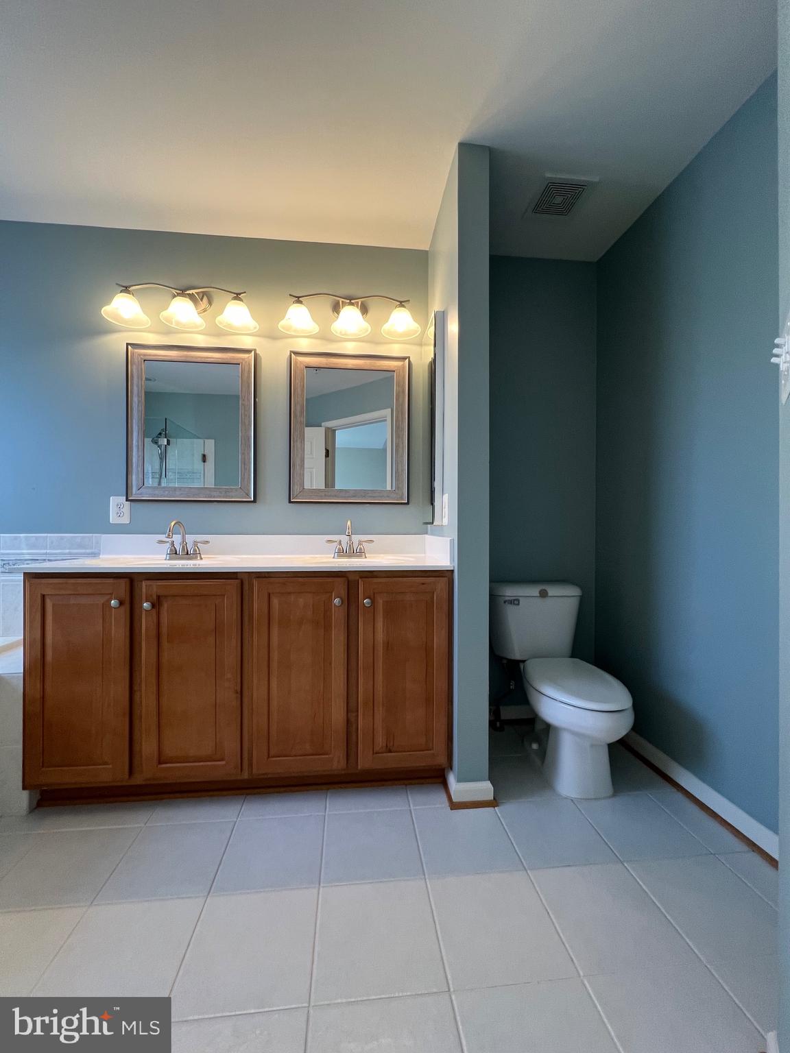 131 Fiona Way Brunswick, MD 21758 - Photo 63 of 73 a bathroom with a toilet sink and mirror