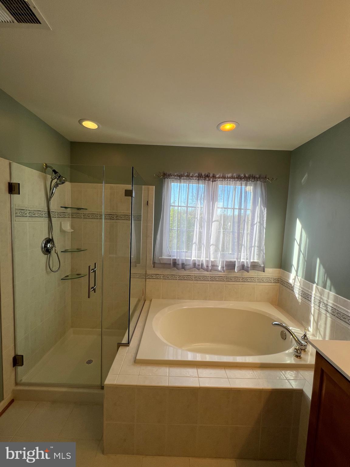 131 Fiona Way Brunswick, MD 21758 - Photo 65 of 73 a bath tub sitting next to a shower