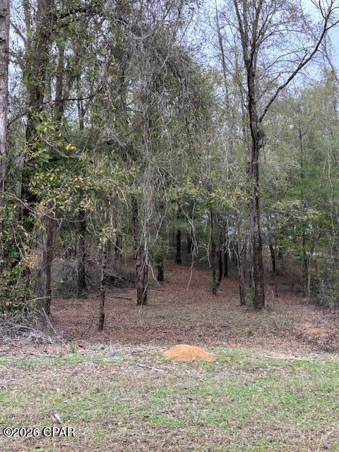 2816 Territory Road Chipley, FL 32428 - Photo 10 of 13