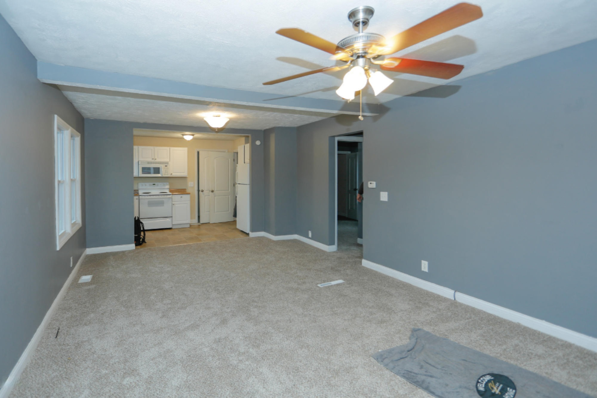 713 Spring Street Three Rivers, MI 49093 - Photo 5 of 14 713 Spring St-105