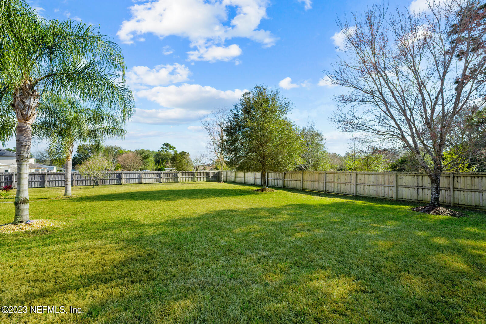 428 Irish Rose Road St. Augustine, FL 32092 - Photo 31 of 42 Yard
