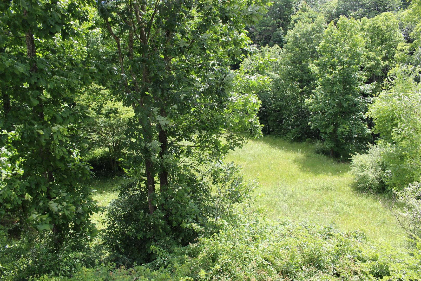 8 Hawthorne Ridge Road Slatyfork, WV 26291 - Photo 5 of 48 Gallery Image 5