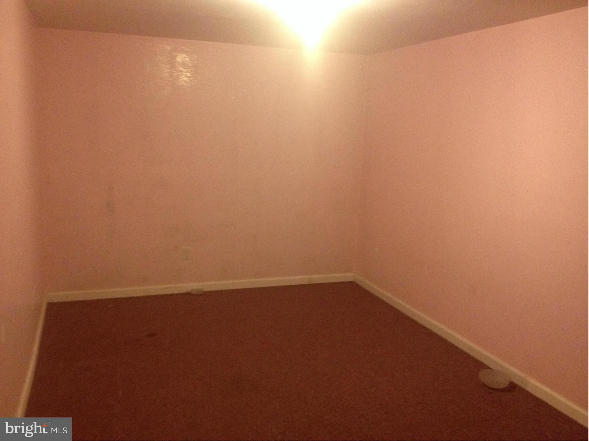 116 Mason Runn Lane Rising Sun, MD 21911 - Photo 21 of 25 Basement - Room 1
