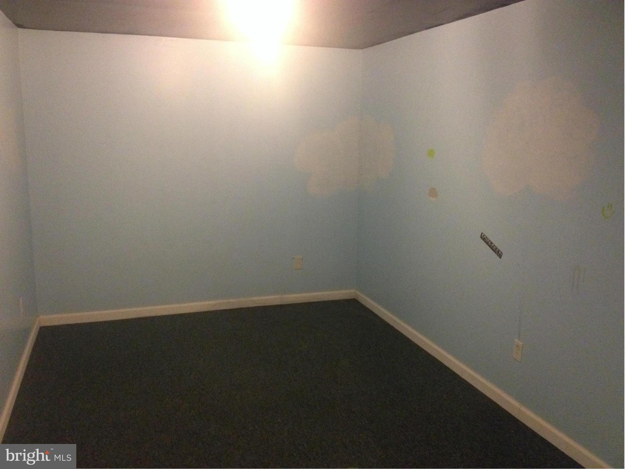 116 Mason Runn Lane Rising Sun, MD 21911 - Photo 22 of 25 Basement - Room 2