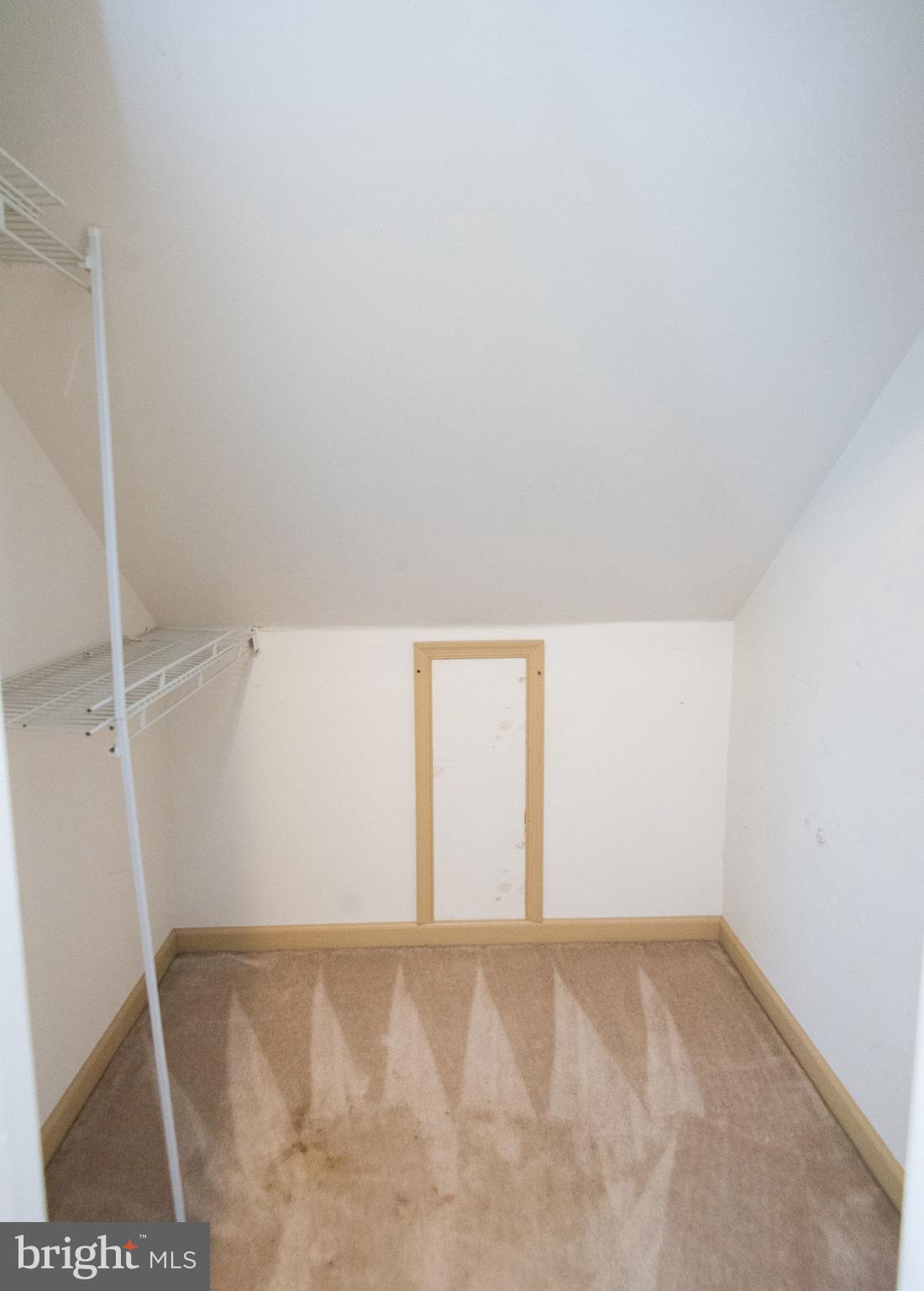 30713 River Road Laurel, DE 19956 - Photo 22 of 38 walk-in closet