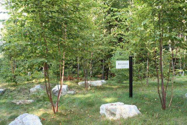 Lot #5 Long Pond Road Great Barrington, MA 01236 - Photo 5 of 8 AT THE ENTRANCE