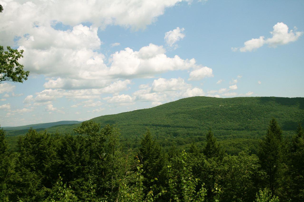 Lot #5 Long Pond Road Great Barrington, MA 01236 - Photo 8 of 8 MORE VIEW