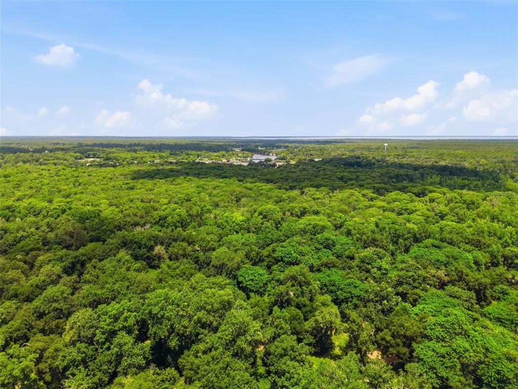 2140 St Johns River Road Astor, FL 32102 - Photo 19 of 36