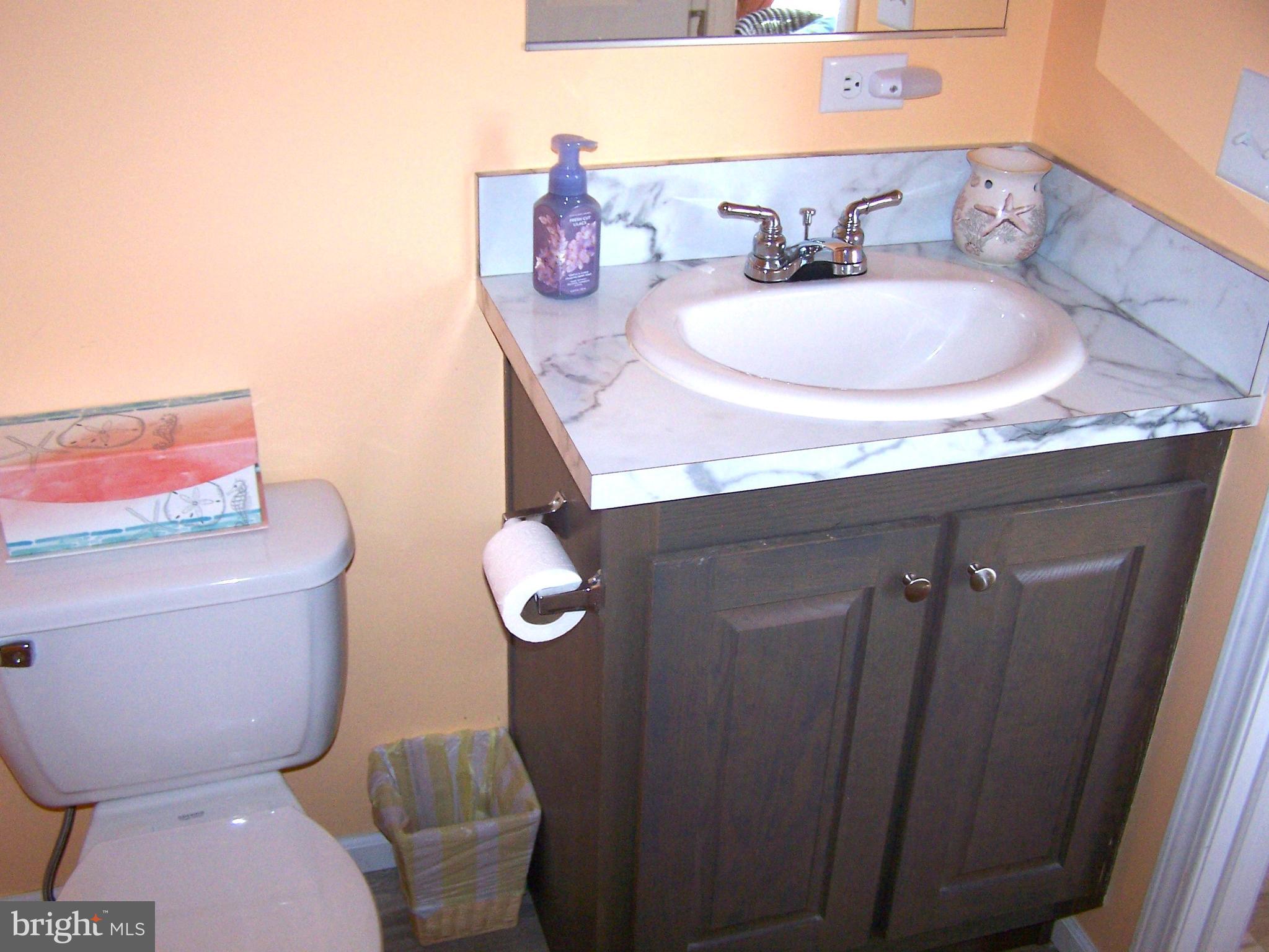 138 Clamshell Road Ocean City, MD 21842 - Photo 23 of 53 Master Bathroom