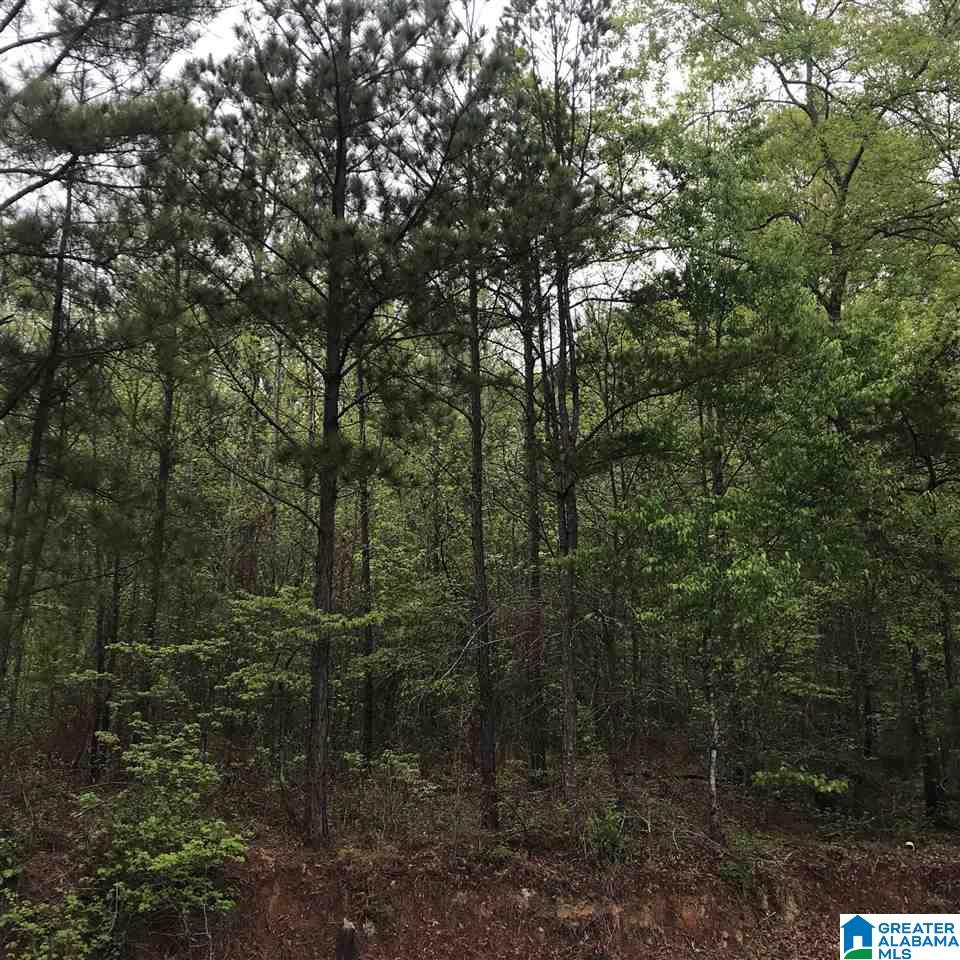 Camp Brownie Road Childersburg, AL 35044 - Photo 3 of 6