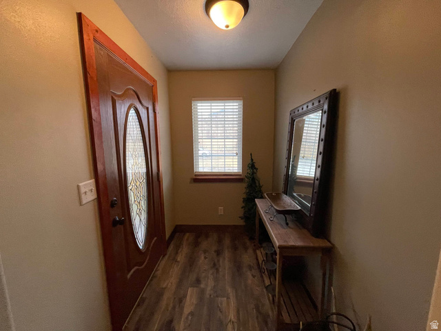 333 Lago Liberty Road Grace, ID 83241 - Photo 19 of 35 Entrance foyer with dark wood-type flooring
