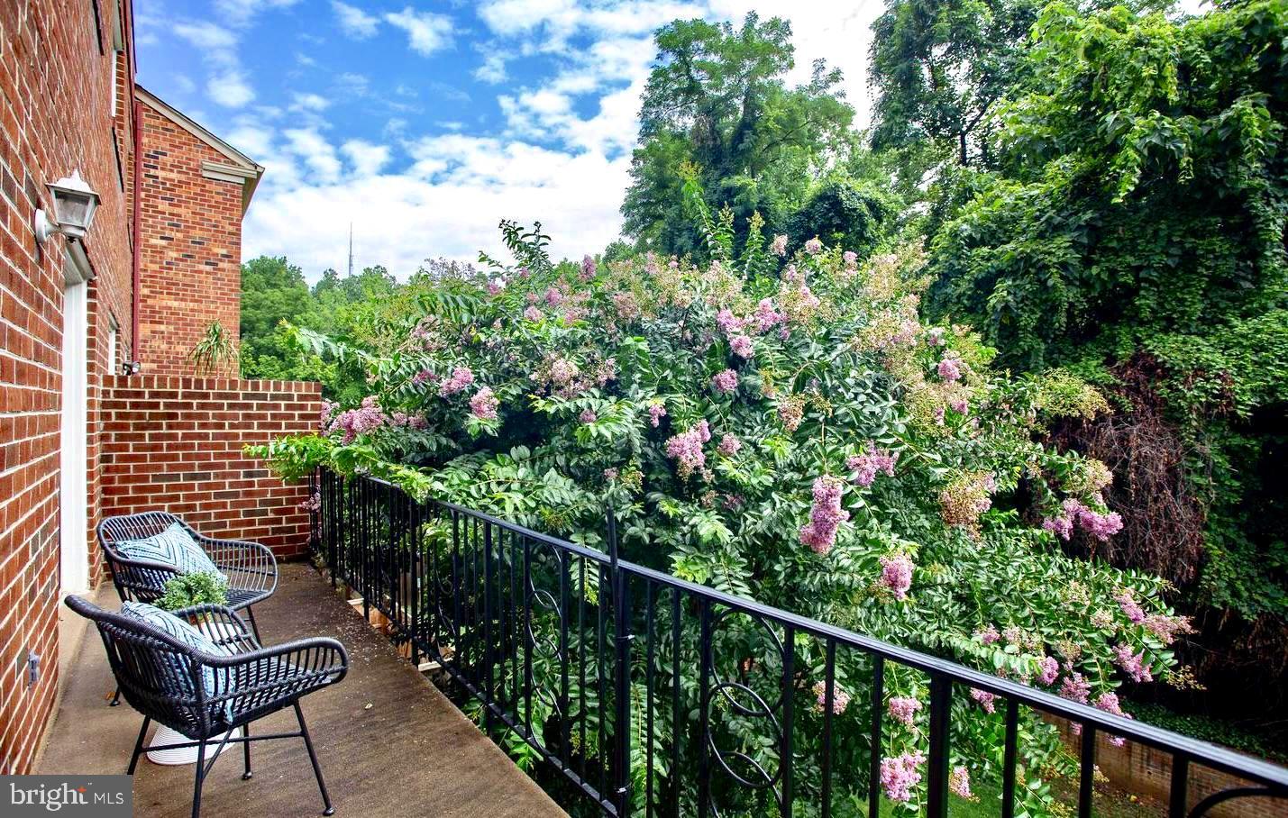 3251 Sutton Place Northwest, Unit B Washington, DC 20016 - Photo 8 of 34 Balcony with verdant views