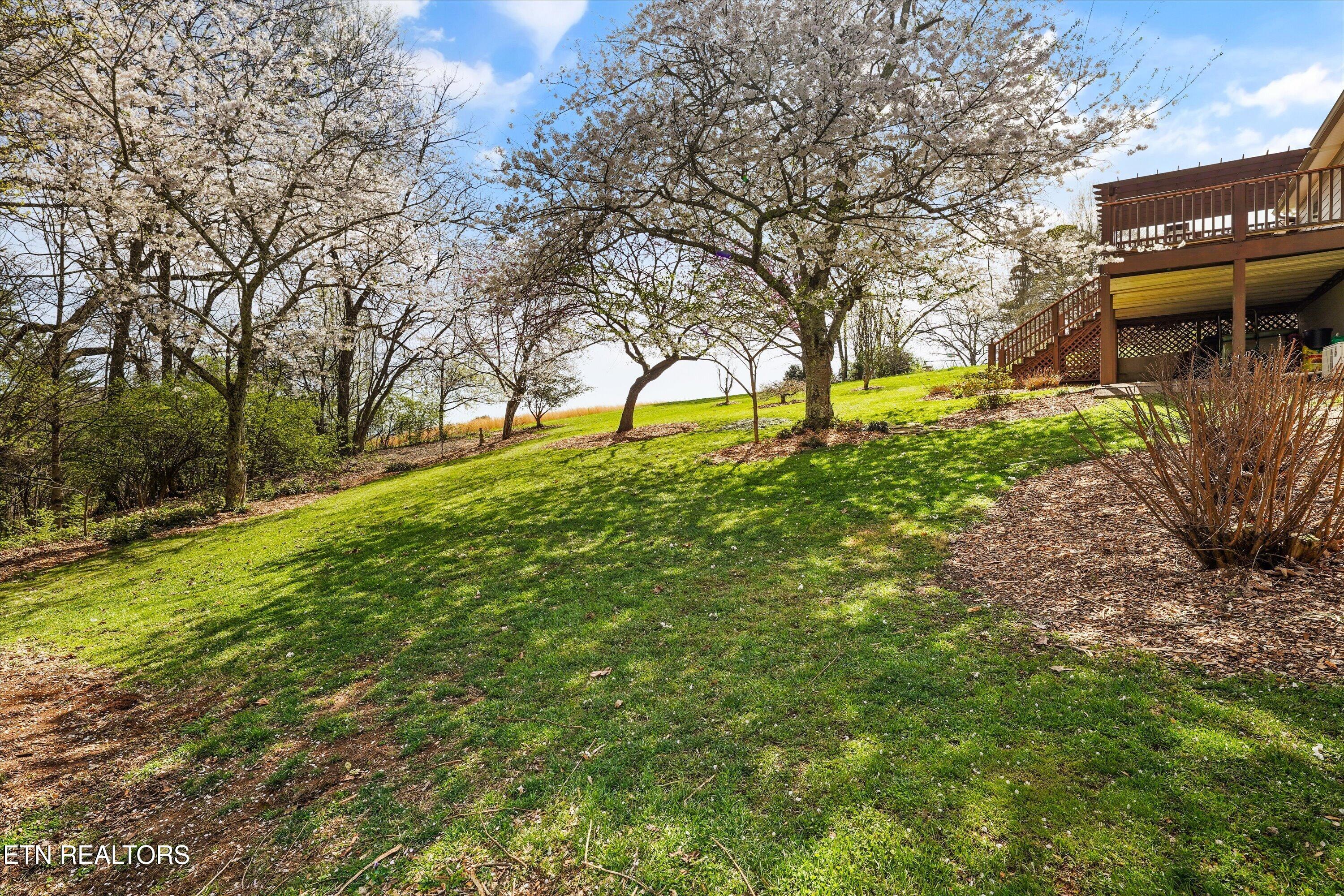10937 Sallings Road Knoxville, TN 37922 - Photo 40 of 49 41-10937 Sallings Rd 37