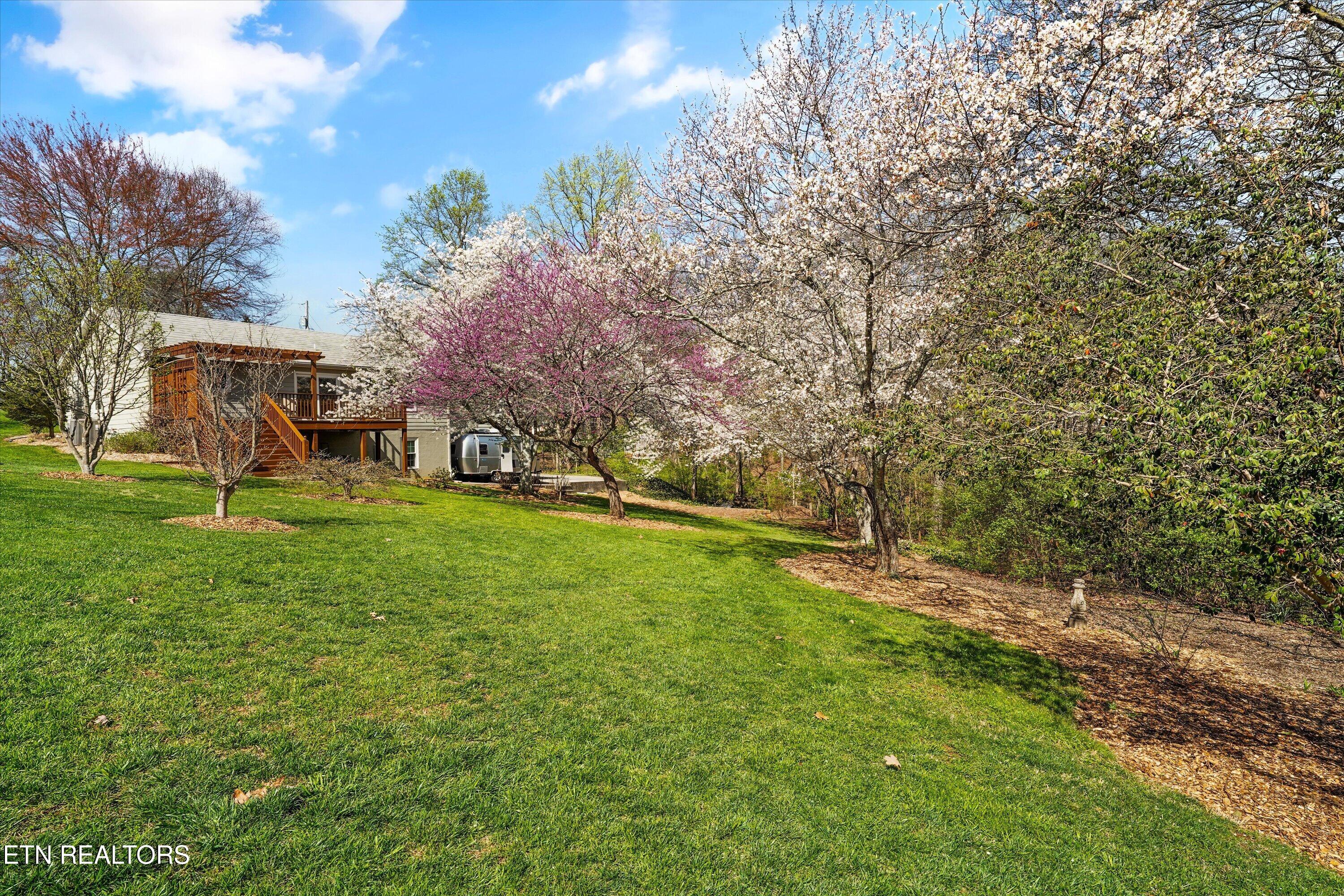 10937 Sallings Road Knoxville, TN 37922 - Photo 42 of 49 43-10937 Sallings Rd 35