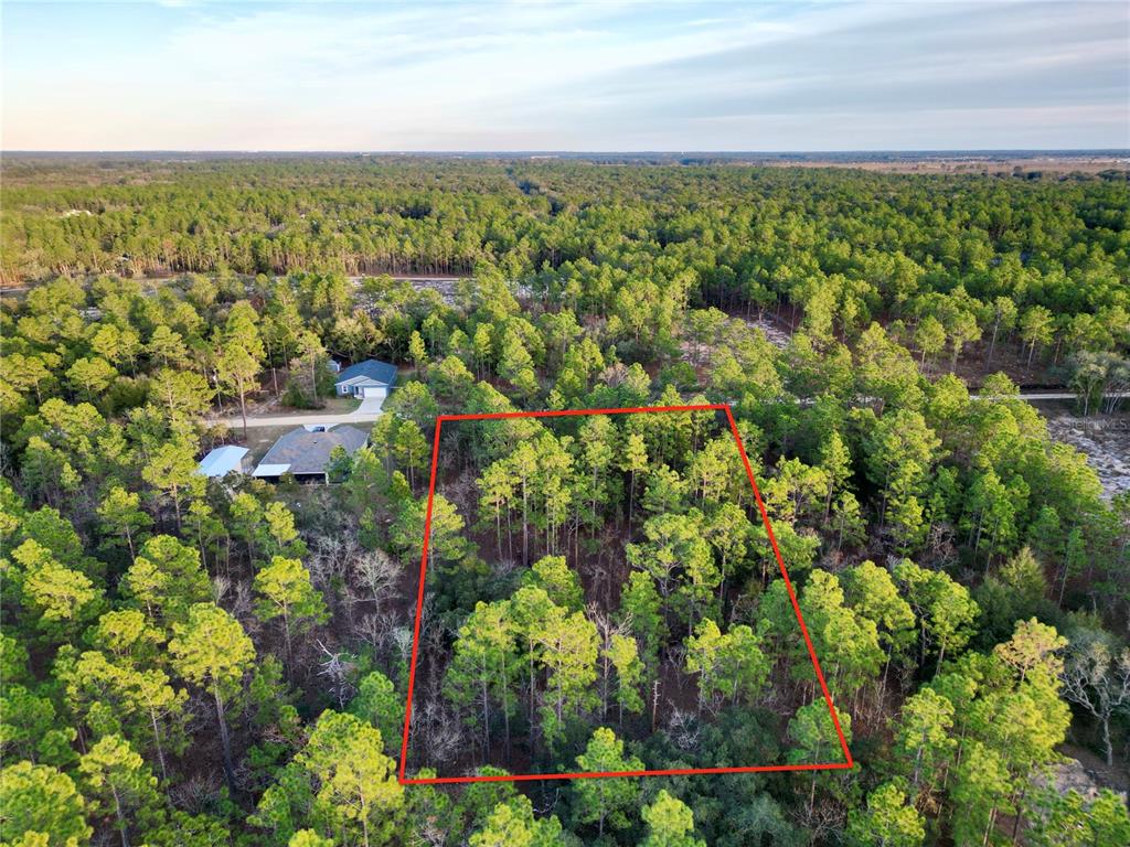 Southwest 124th Ter Road Ocala, FL 34481 - Photo 6 of 11