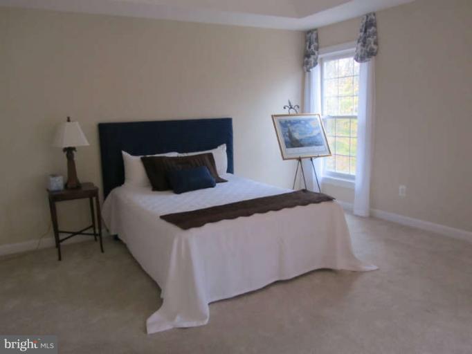 17511 Canby Road Leesburg, VA 20175 - Photo 12 of 30 Bedroom (Master)