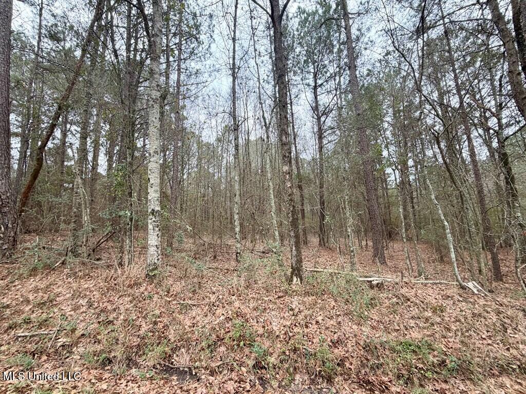 178 Wadsworth Road Ellisville, MS 39437 - Photo 15 of 25 185337_46