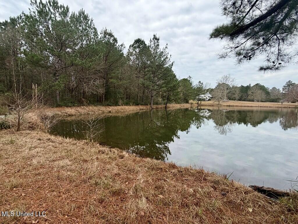 178 Wadsworth Road Ellisville, MS 39437 - Photo 22 of 25 185337_4 - Copy