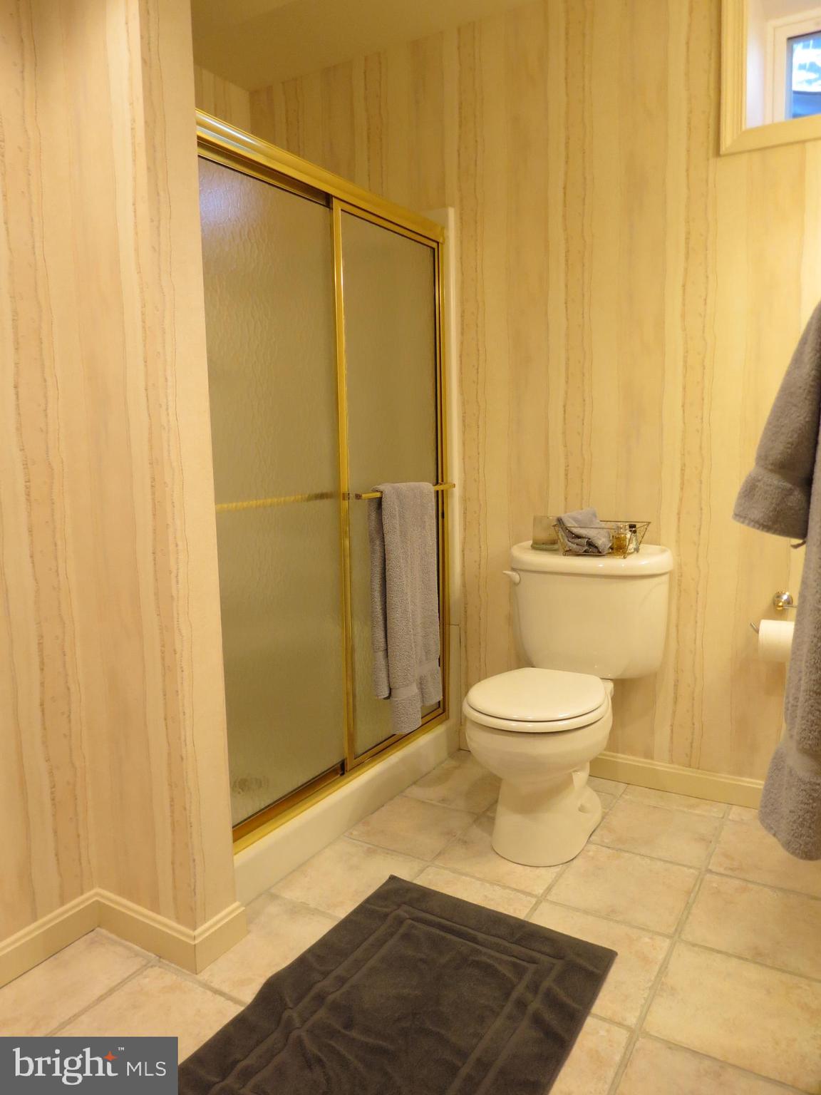 1130 Stonegate Road Hummelstown, PA 17036 - Photo 32 of 33 Lower Level Full Bath