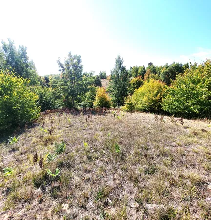 $41,000 | Eagle Ridge Circle, Onekama, MI 49675