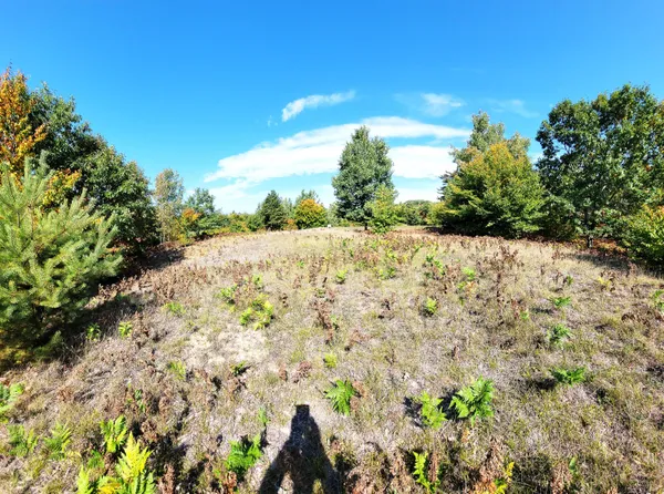 $41,000 | Eagle Ridge Circle, Onekama, MI 49675