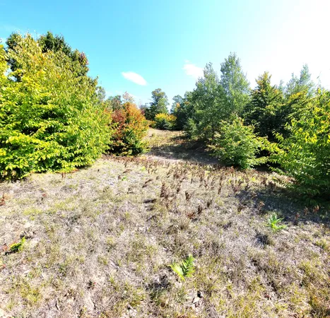 $41,000 | Eagle Ridge Circle, Onekama, MI 49675