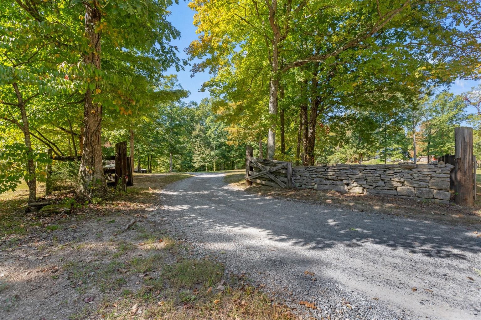 3911 Mobley's Cut Road Columbia, TN 38401 - Photo 2 of 19 a view of outdoor space with trees