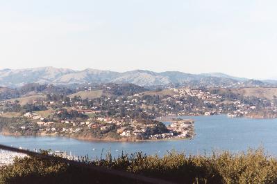 41 Cloud View Road Sausalito, CA 94965 - Photo 6 of 9