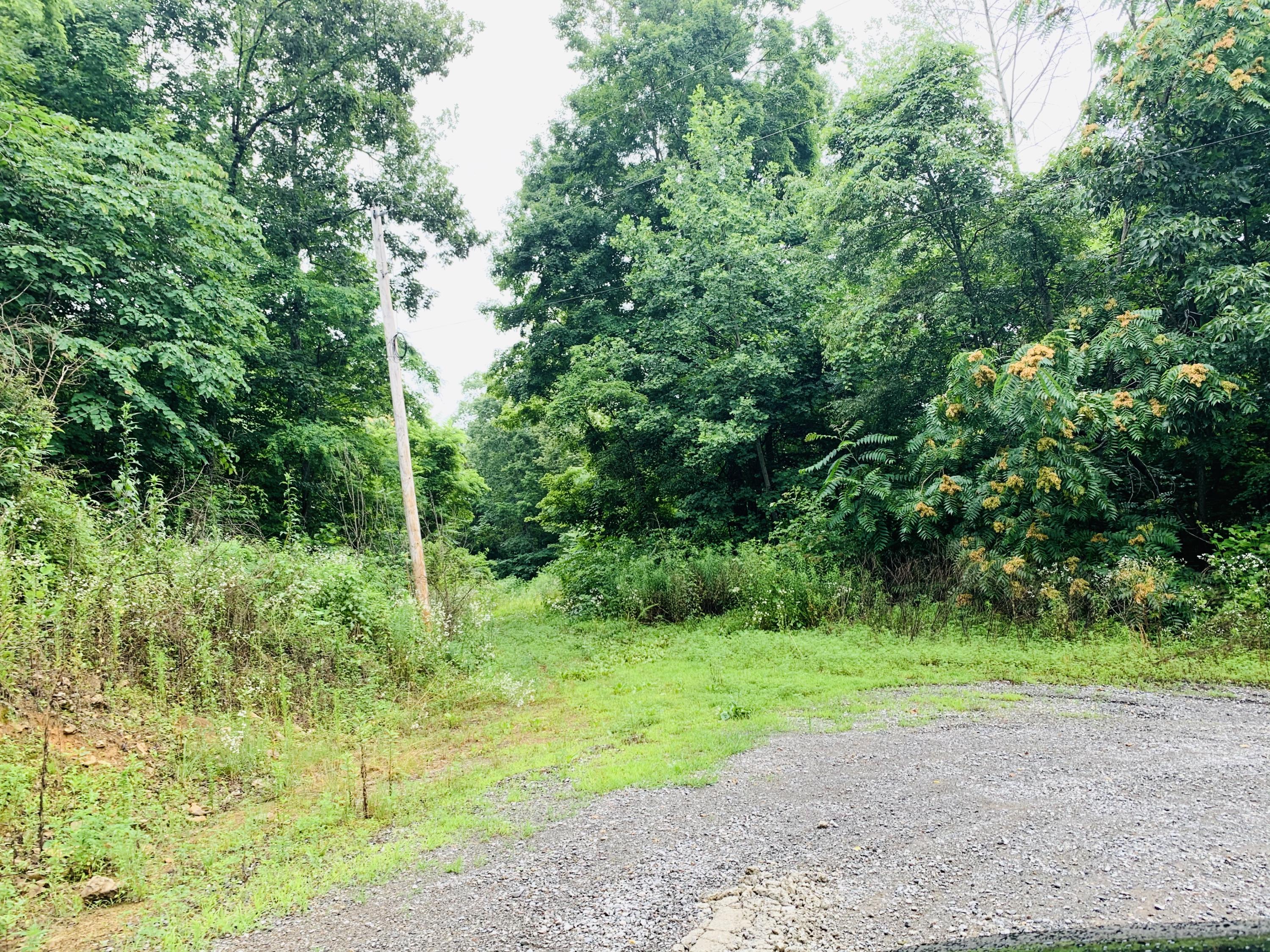 559 Savage Point Road Dunlap, TN 37327 - Photo 64 of 80 CC2DAF90-E1DA-4644-B692-DF2A46C6A08F