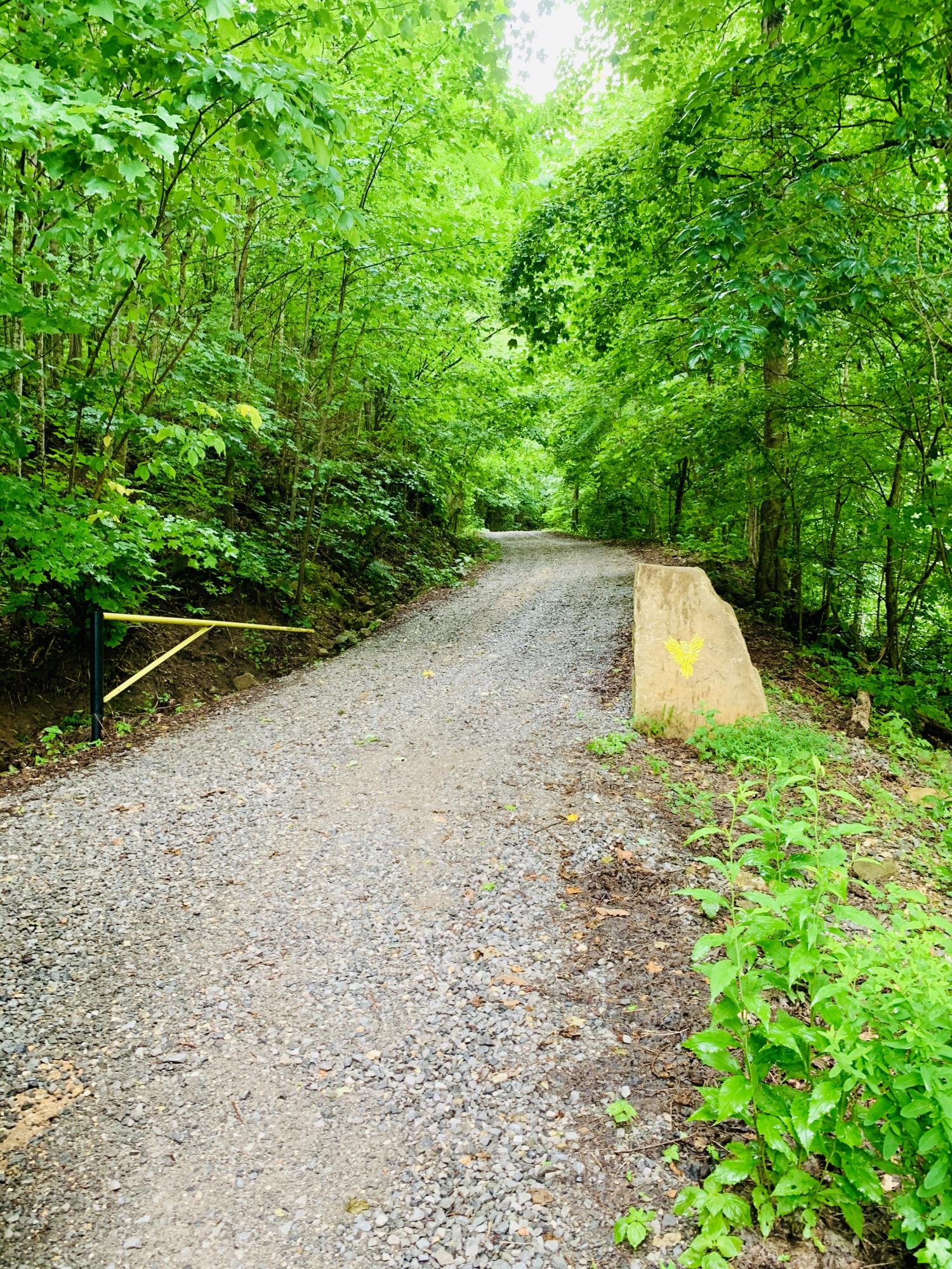 559 Savage Point Road Dunlap, TN 37327 - Photo 65 of 80 A5DA876B-4B0A-4279-B69C-6EEB7C632F7C