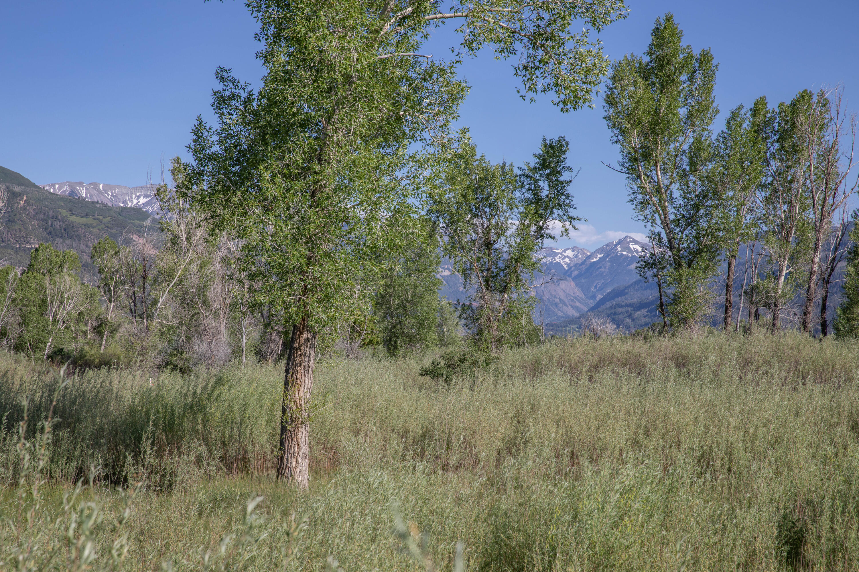 Tbd Hyde Street Ridgway, CO 81432 - Photo 13 of 19 a view of a lush green space