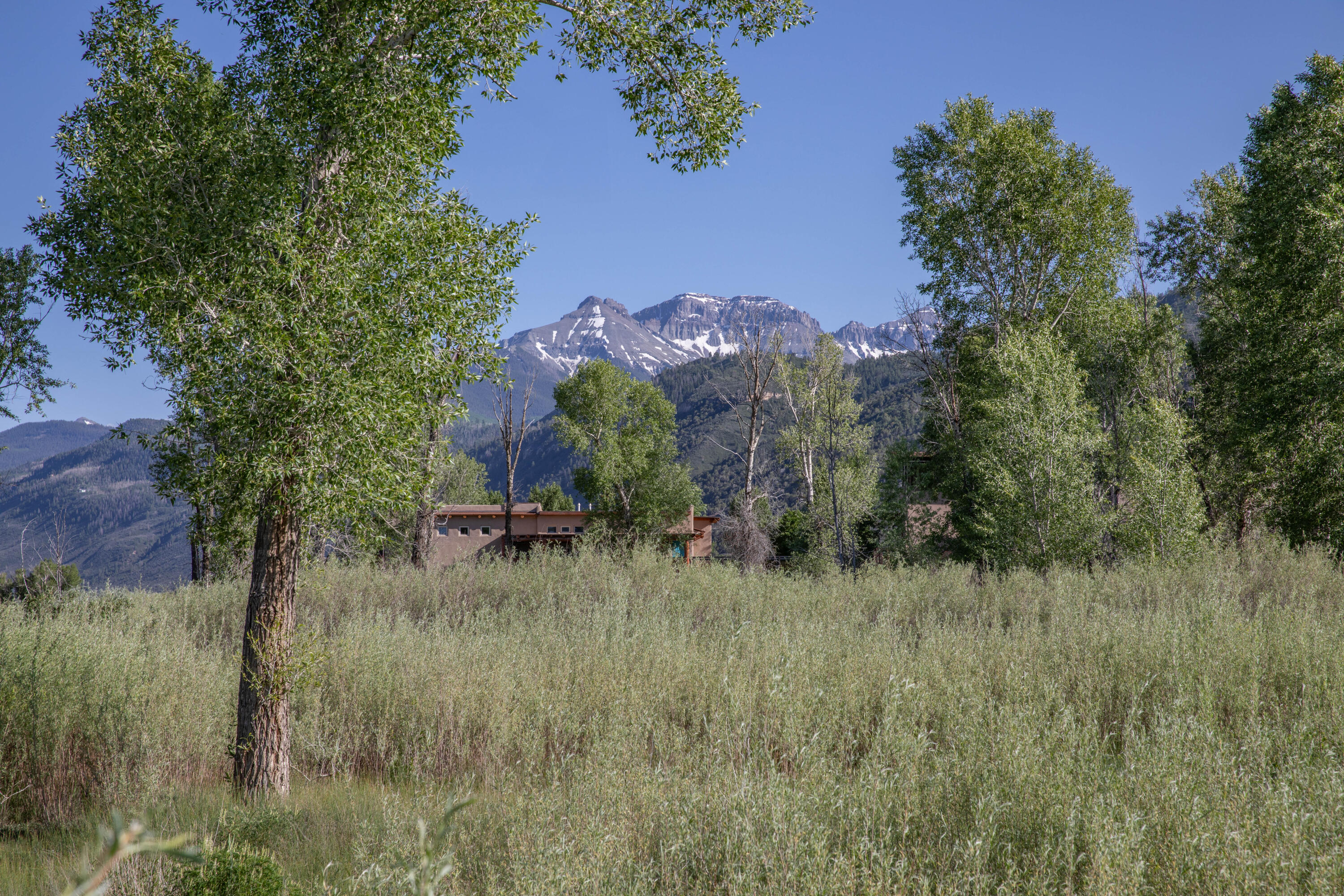 Tbd Hyde Street Ridgway, CO 81432 - Photo 14 of 19 a view of a garden