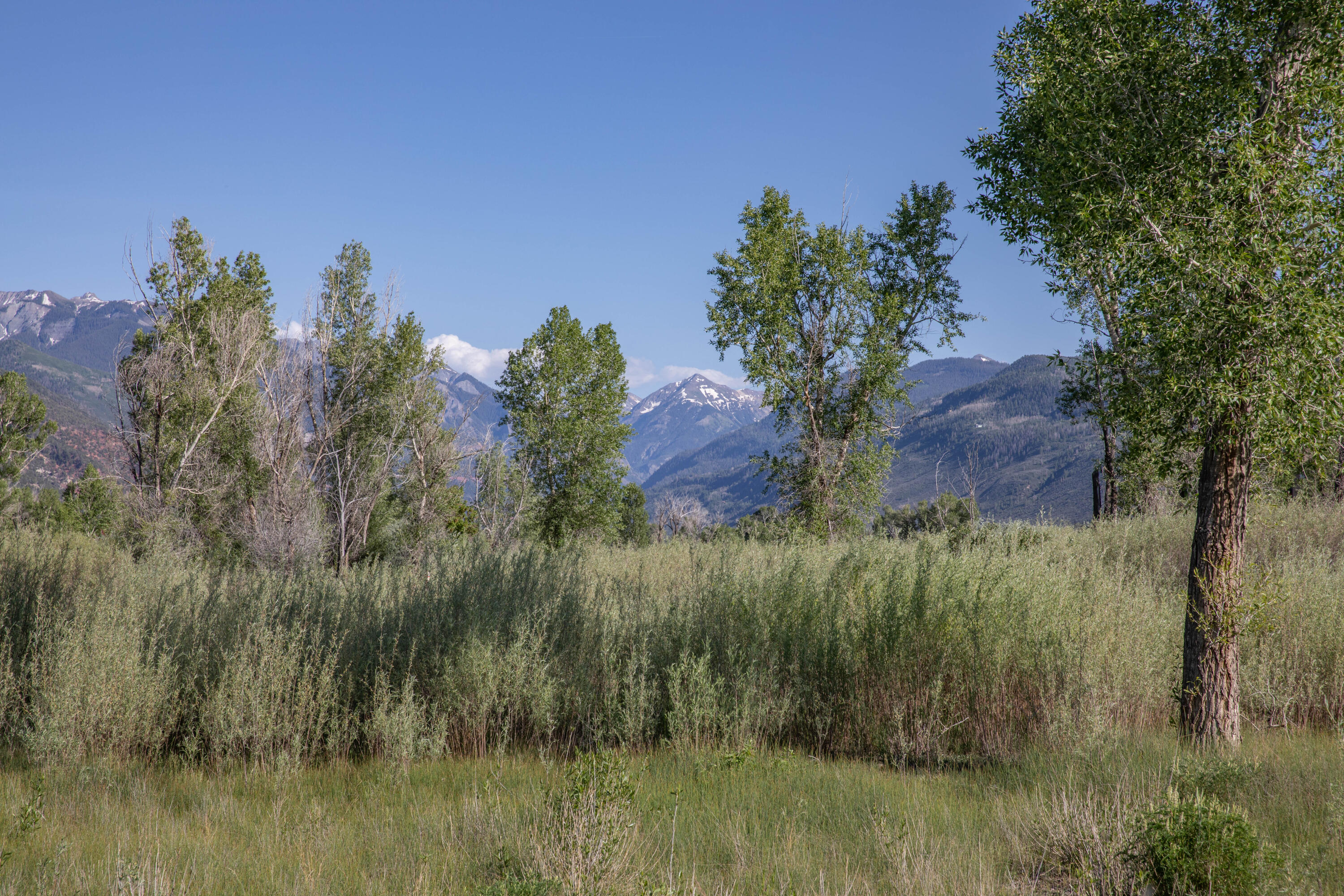 Tbd Hyde Street Ridgway, CO 81432 - Photo 15 of 19 a view of a house with a yard