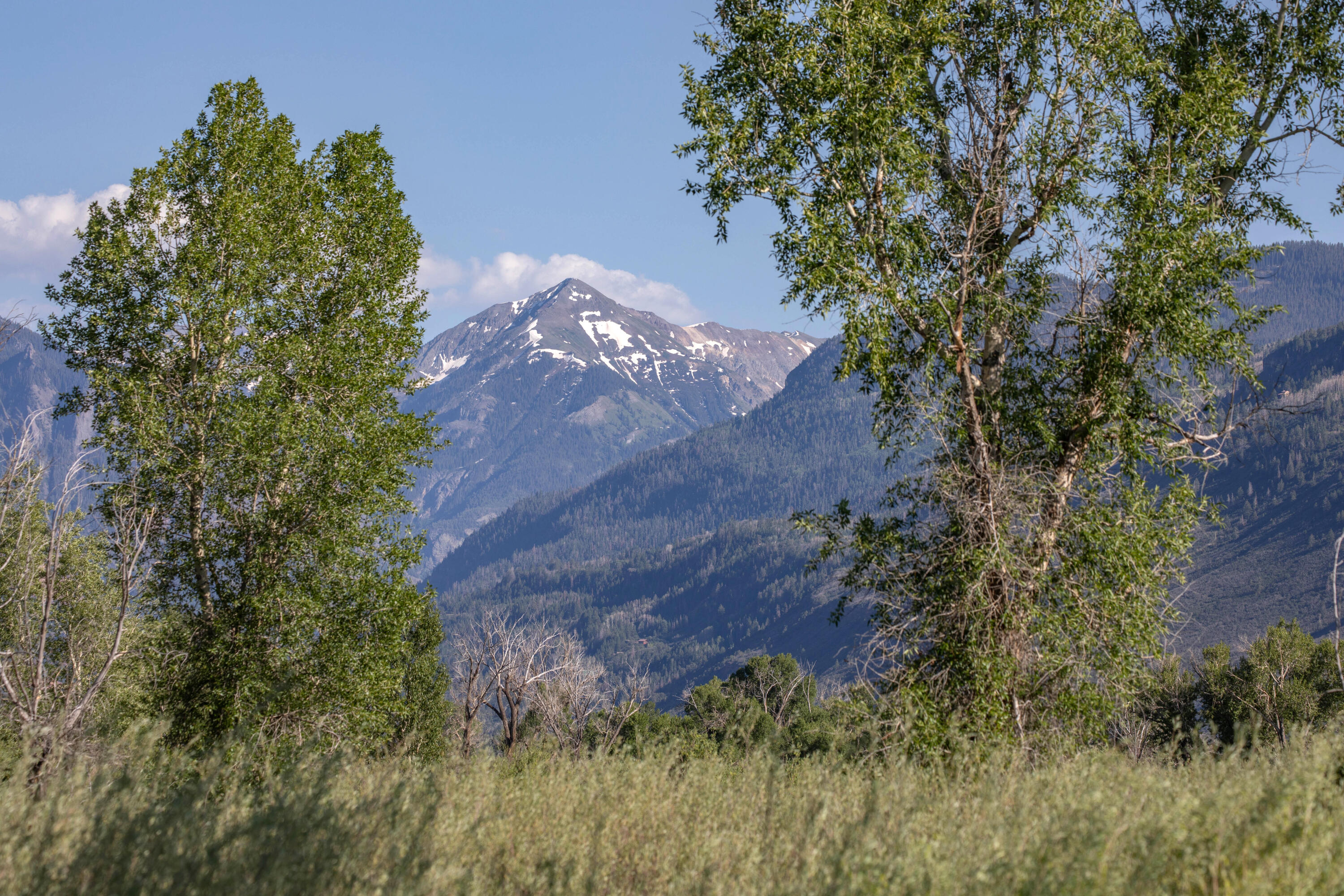 Tbd Hyde Street Ridgway, CO 81432 - Photo 16 of 19 a view of a yard