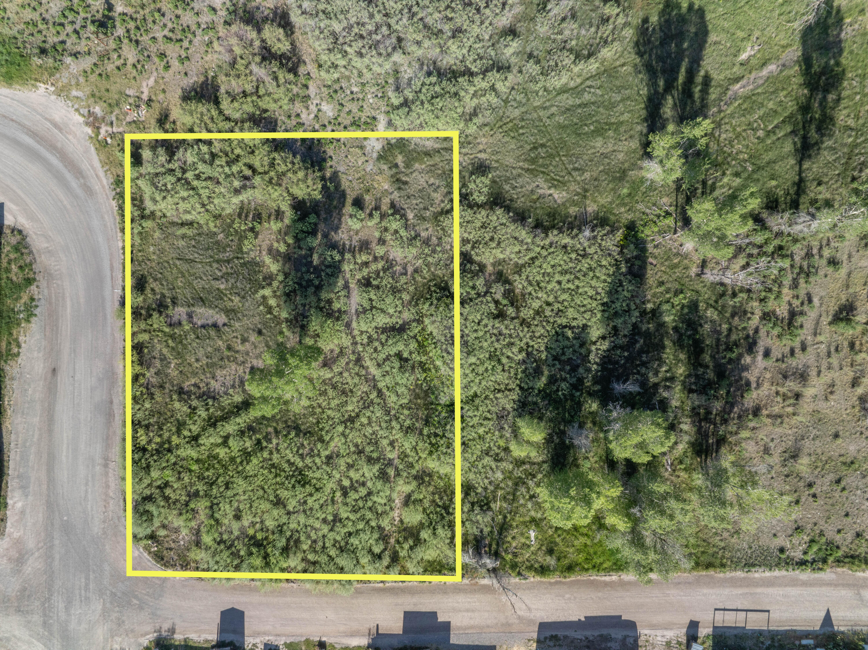 Tbd Hyde Street Ridgway, CO 81432 - Photo 7 of 19 a view of a forest