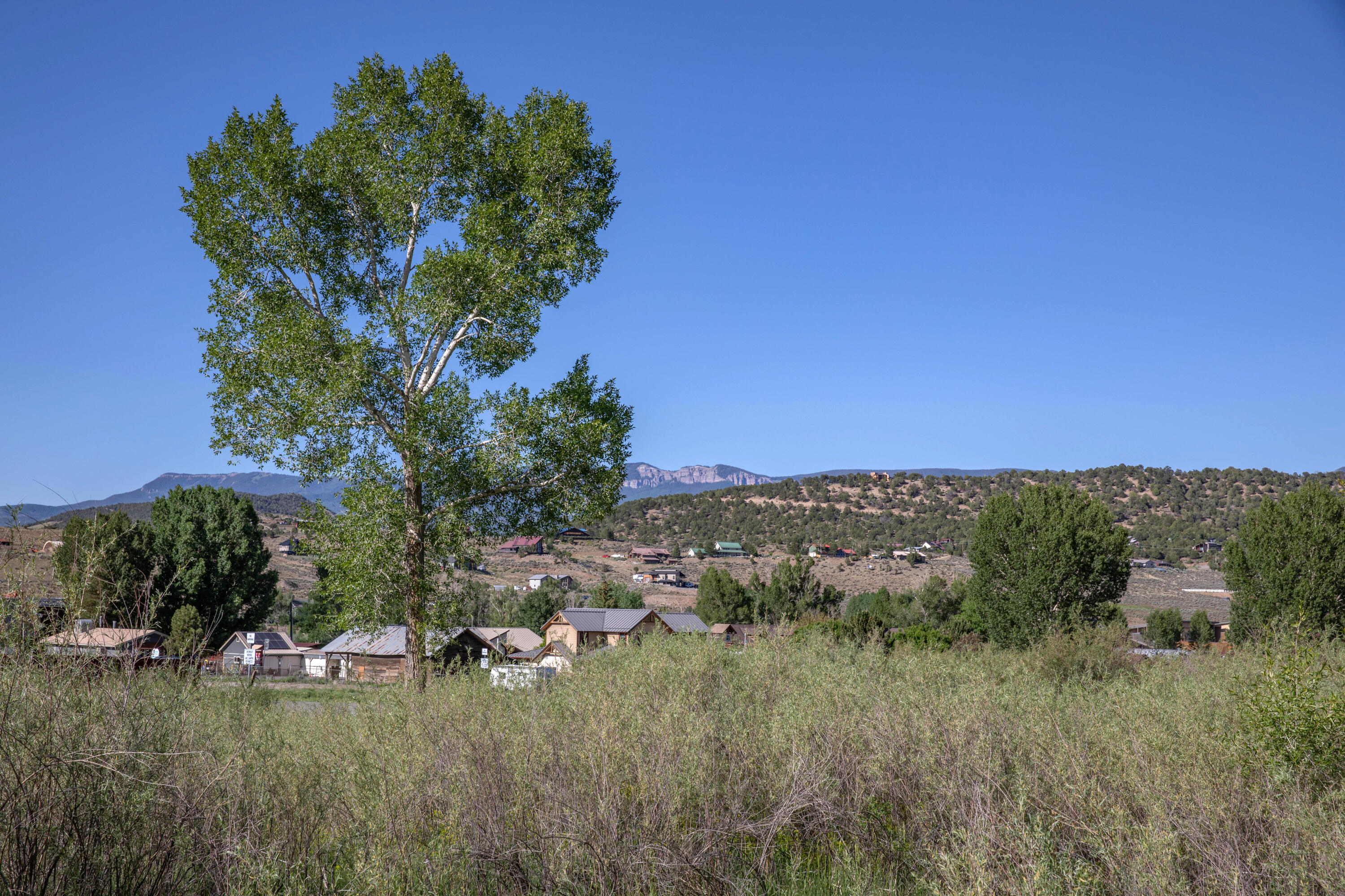 Tbd Hyde Street Ridgway, CO 81432 - Photo 8 of 19 a view of a town with big trees