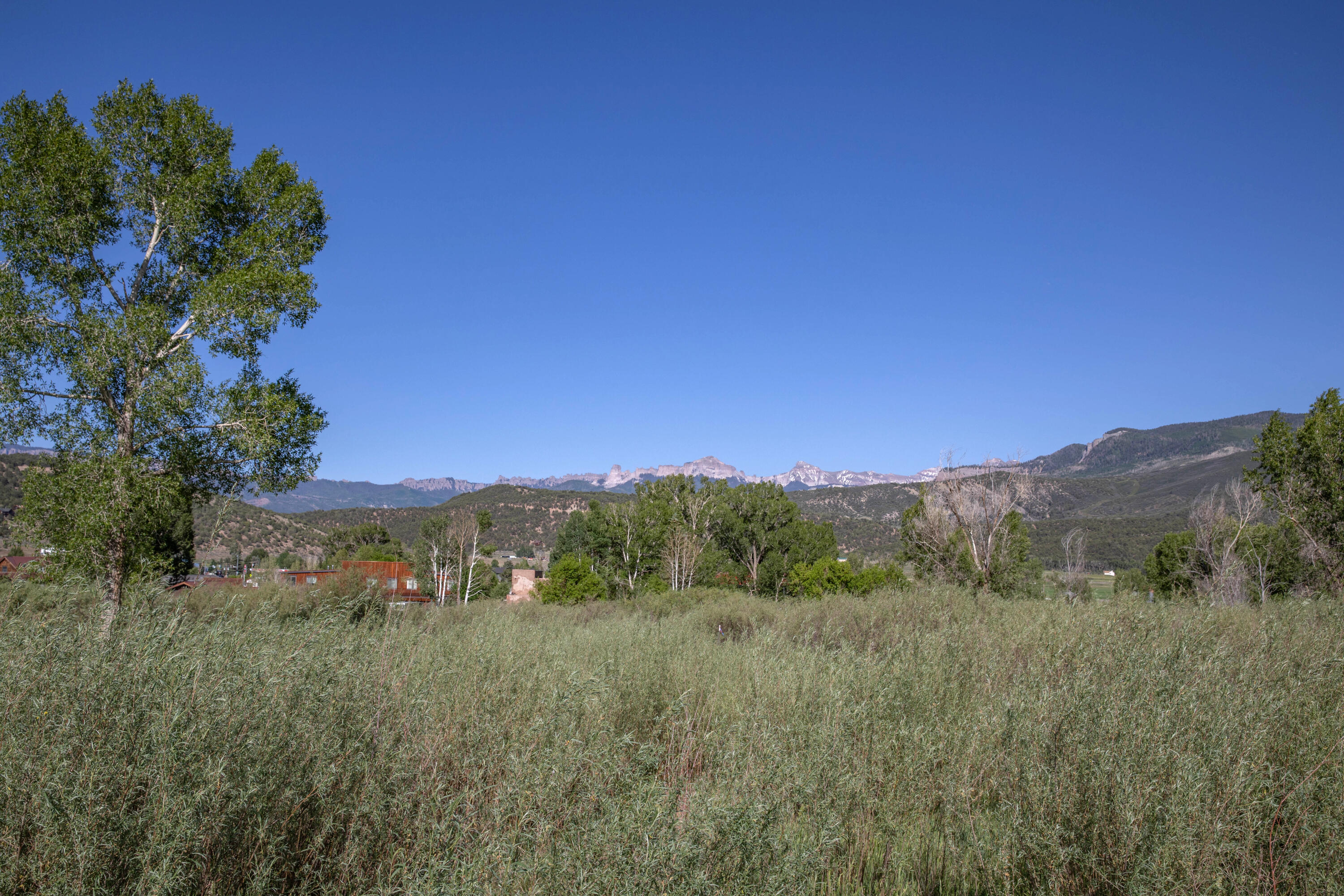 Tbd Hyde Street Ridgway, CO 81432 - Photo 9 of 19 a view of a lush green outdoor space with mountain view
