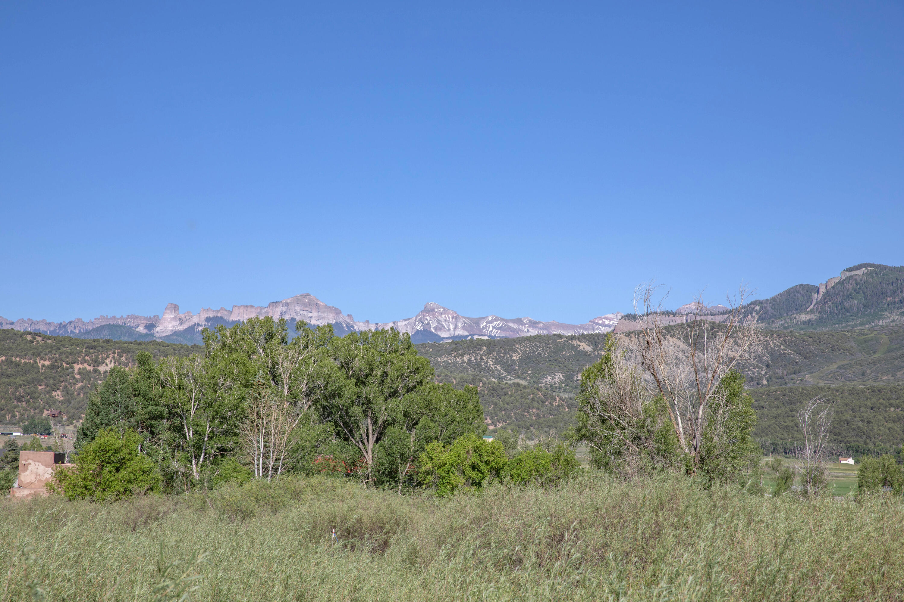Tbd Hyde Street Ridgway, CO 81432 - Photo 10 of 19 a view of a lush green field with mountains in the background