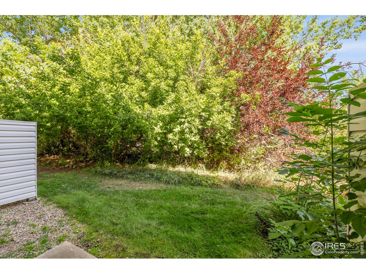 1705 Heatheridge Road, Unit 104 Fort Collins, CO 80526 - Photo 21 of 28