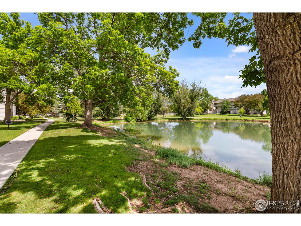 1705 Heatheridge Road, Unit 104 Fort Collins, CO 80526 - Photo 28 of 28