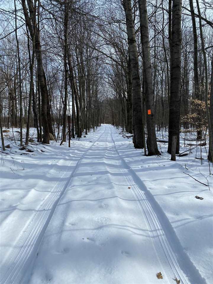 V/l West Washington Road Lake, MI 48632 - Photo 3 of 7