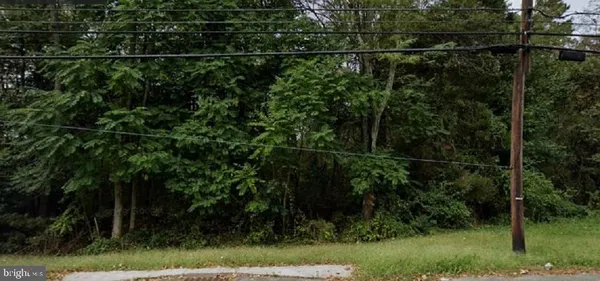 a view of a yard