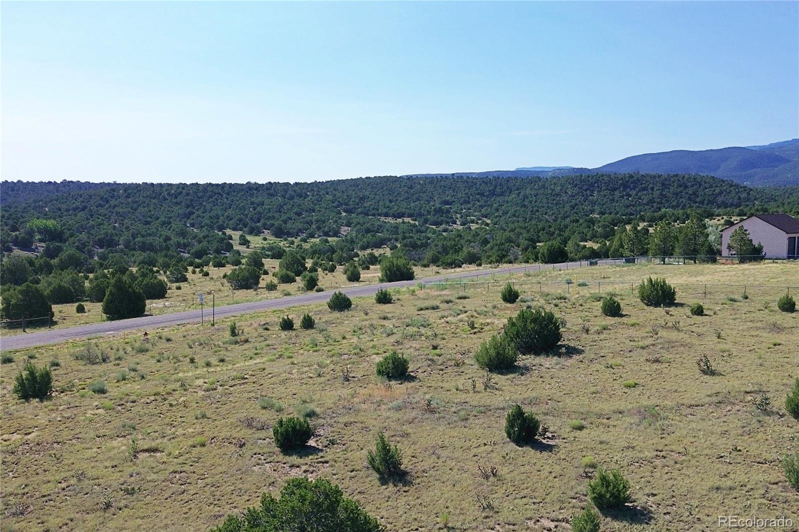 Pinon Terrace Trinidad, CO 81082 - Photo 6 of 26 a view of a dry yard with trees