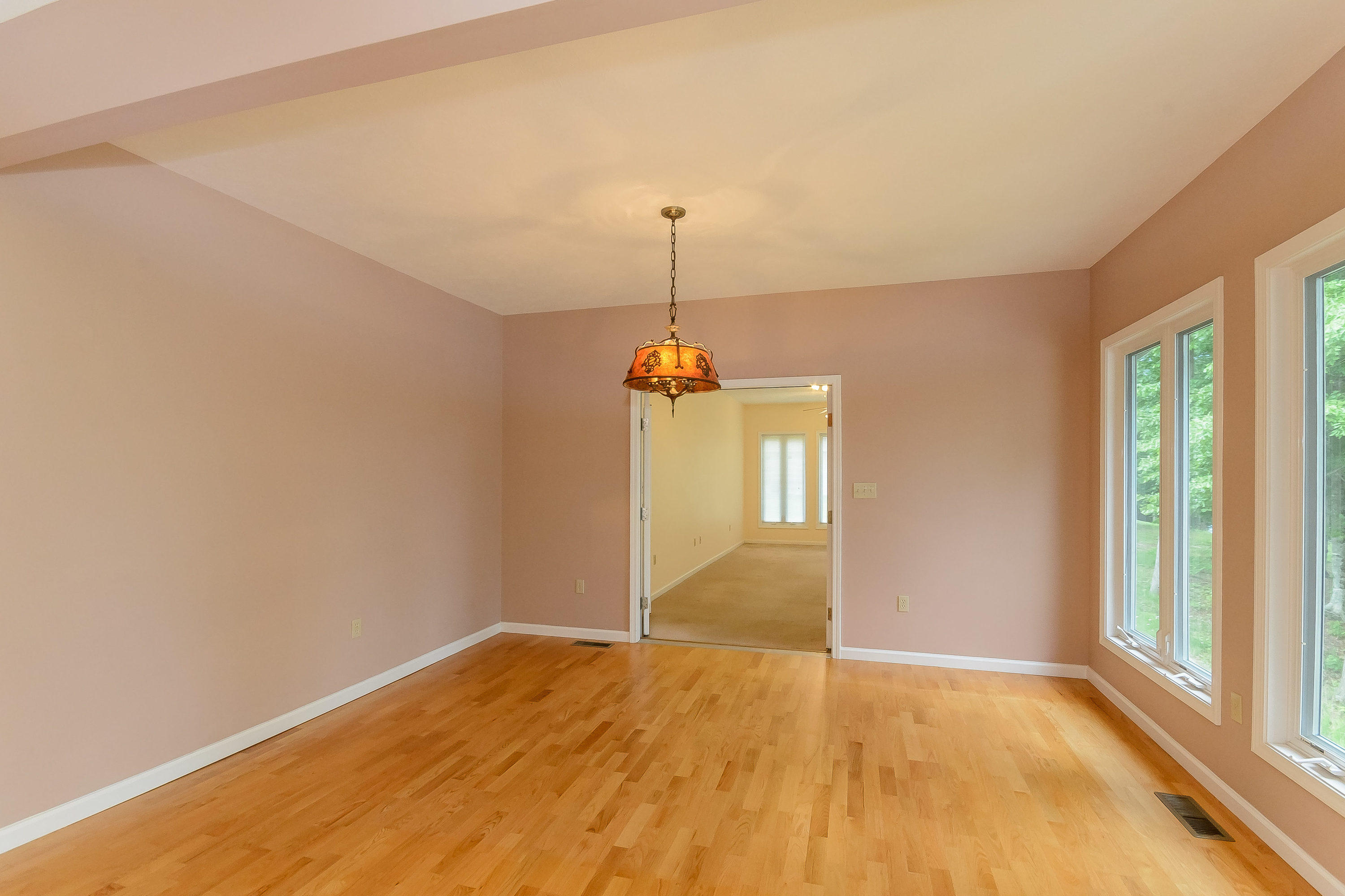 346 Devon Way Road Baneberry, TN 37890 - Photo 11 of 38 346 Devon Way Rd White Pine TN-MLS_Size-
