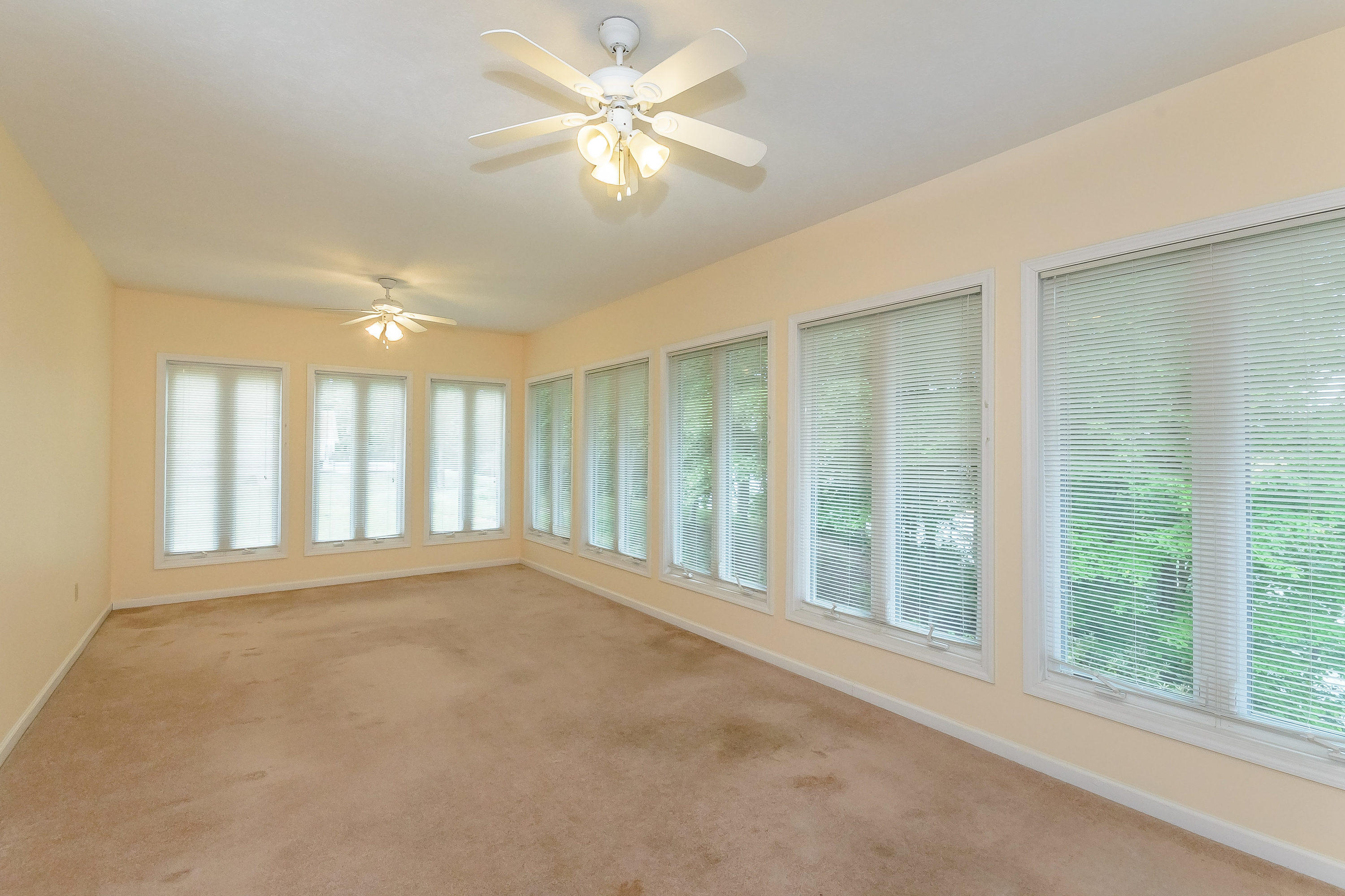 346 Devon Way Road Baneberry, TN 37890 - Photo 12 of 38 346 Devon Way Rd White Pine TN-MLS_Size-