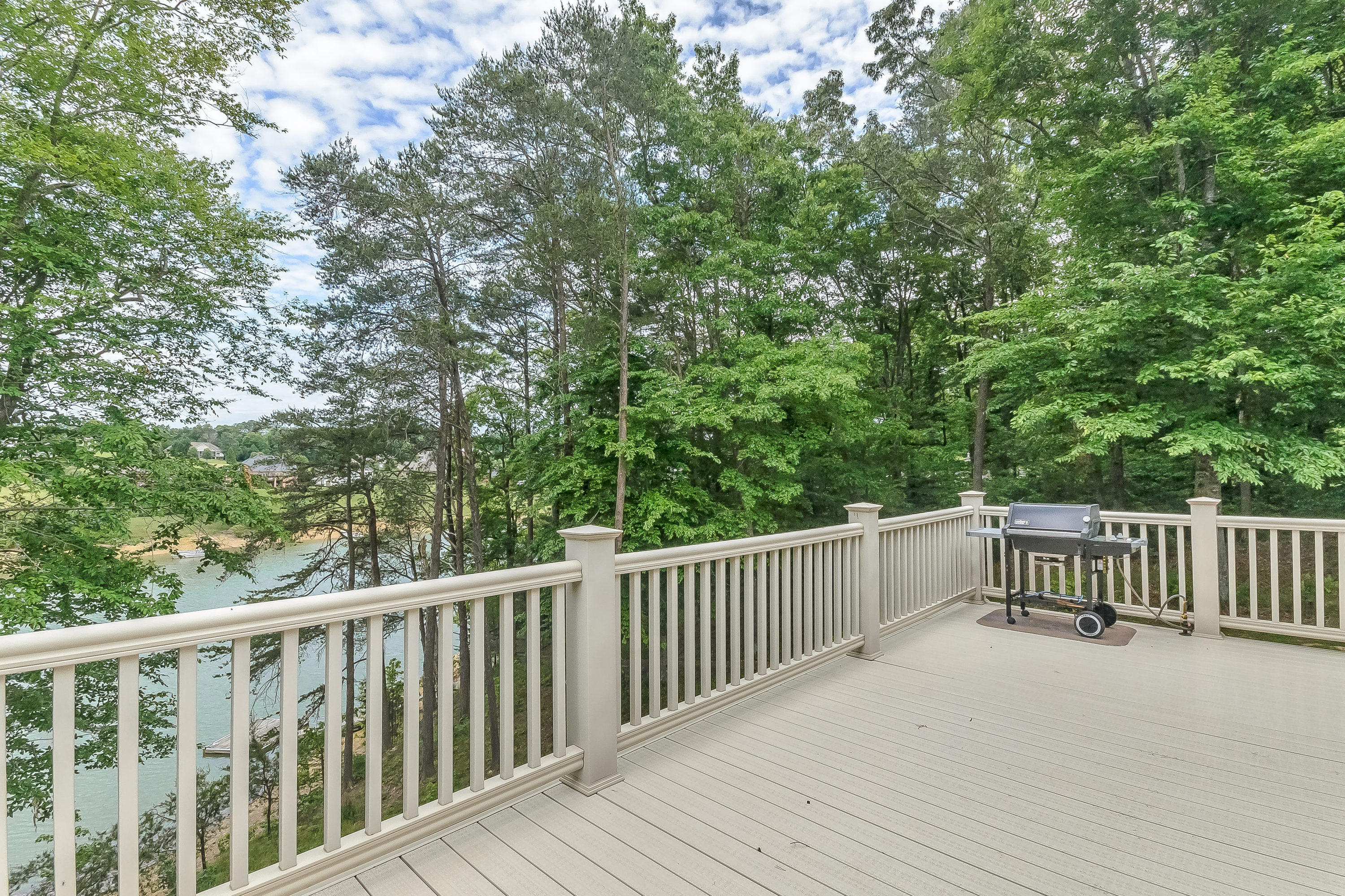346 Devon Way Road Baneberry, TN 37890 - Photo 10 of 38 346 Devon Way Rd White Pine TN-MLS_Size-