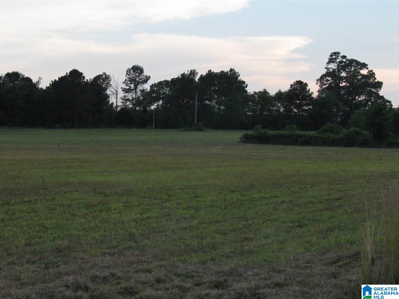 0 Vigo Road, Unit 1 Piedmont, AL 36272 - Photo 3 of 4